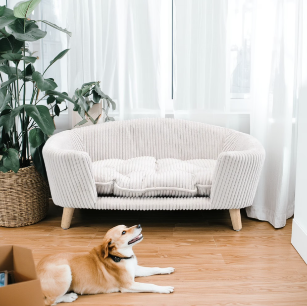 The Stockholm Pet Sofa | Elevated Couch Bed for Dogs & Cats