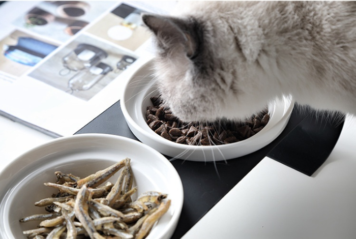 The Oslo Feeder | Elevated Ceramic Pet Bowls with Iron Stand