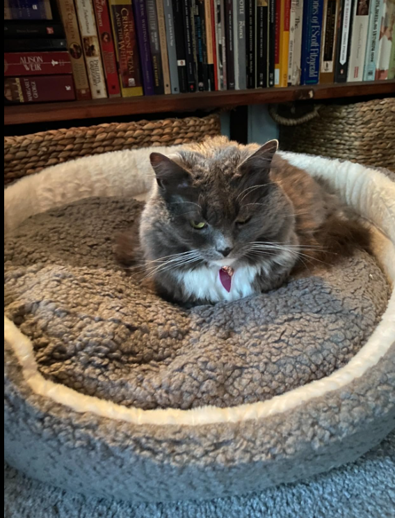 The Oslo Cozy Nest | Plush Round Pet Bed